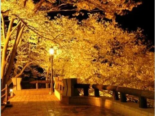 8LDK Property, Atami City, Shizuoka Prefecture (18)