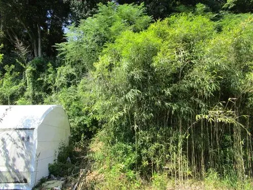 ワンルーム物件 浜松市 静岡県 (8)