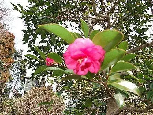 2LDK物件 伊東市 静岡県 (10)