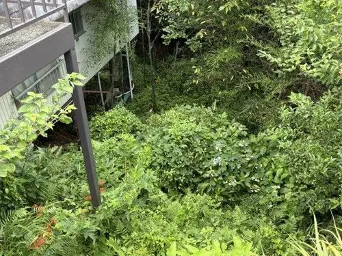 عقار 3LDK بلدة Kawazu-cho محافظة Shizuoka (16)