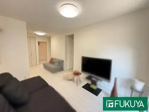 1室1厅1厨+储藏室房产
草津市 滋贺县 (10)