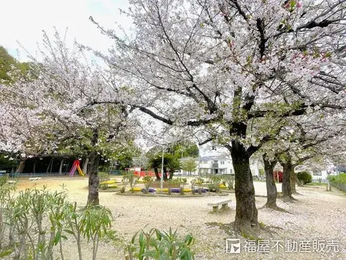 Propriété 3DK Ville de Hirakata Préfecture d'Osaka (14)