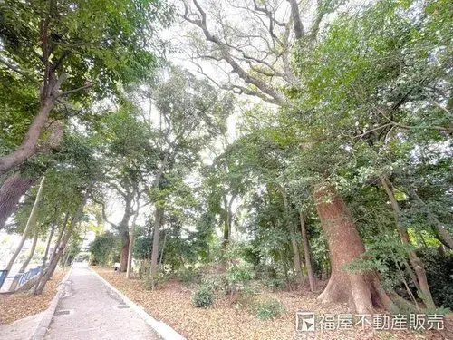 Propriété 3DK Ville de Hirakata Préfecture d'Osaka (15)