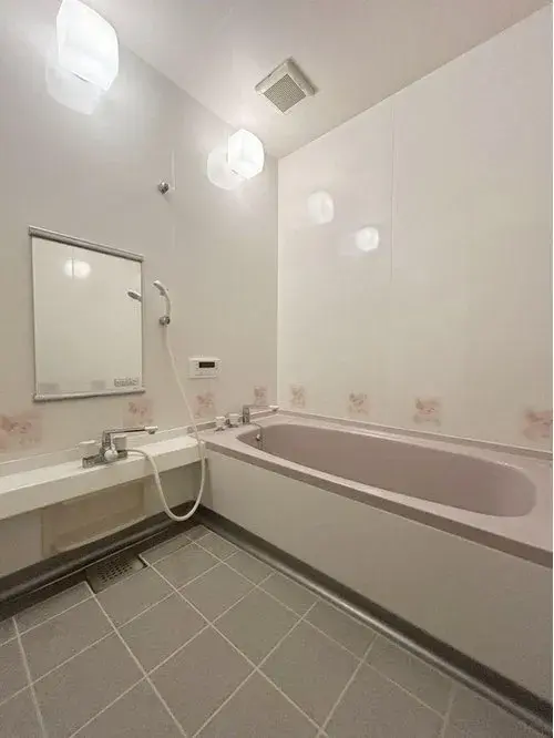 3LDK Property Osaka City Osaka Prefecture (15)