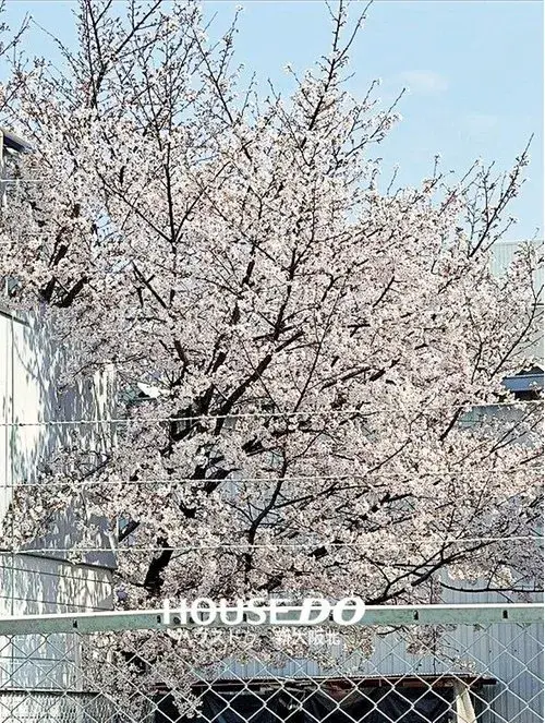 Slide 21
