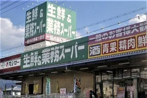 4LDK房产 东大阪市 大阪府 (3)