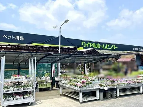 収納付物件 西宮市 兵庫県 (7)