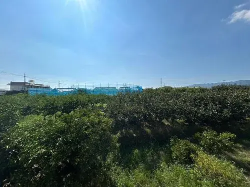 4LDK物件 紀の川市 和歌山県 (19)