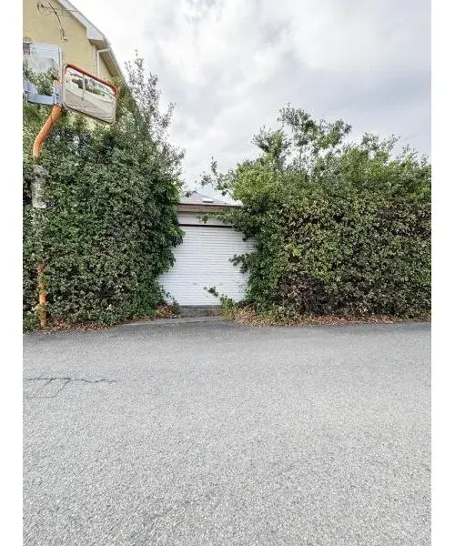 Slide 6
