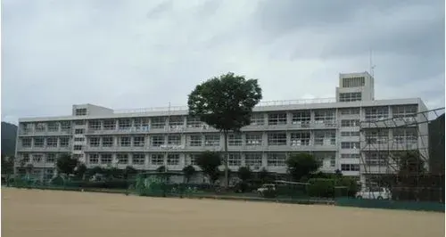 Slide 8