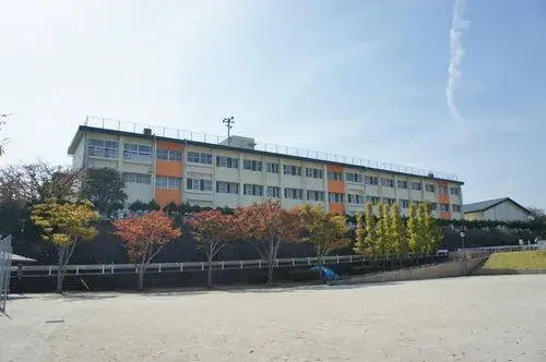 Slide 8