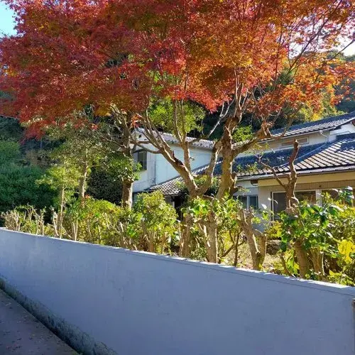 9DK Oita City Oita Prefecture (15)