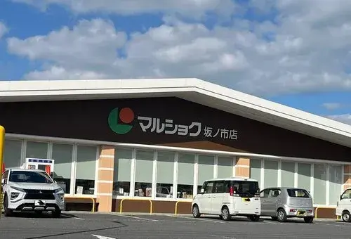 9DK Oita City Oita Prefecture (16)