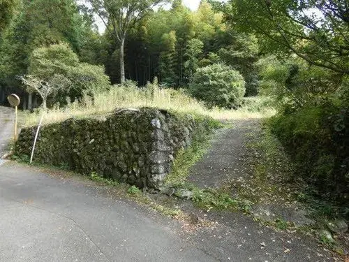 Slide 3