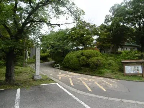 Slide 1