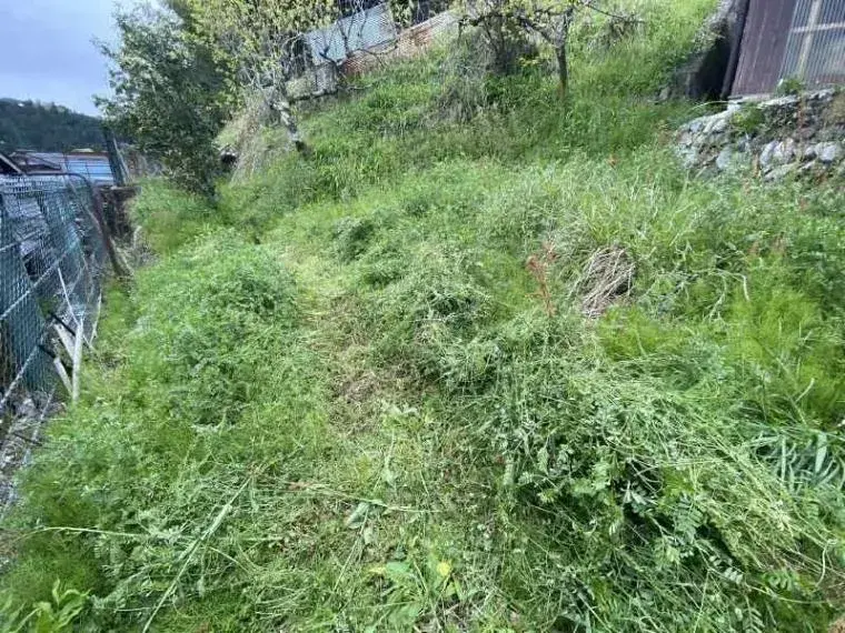 Nara Prefecture Mitsue Village 8DK Property (2)