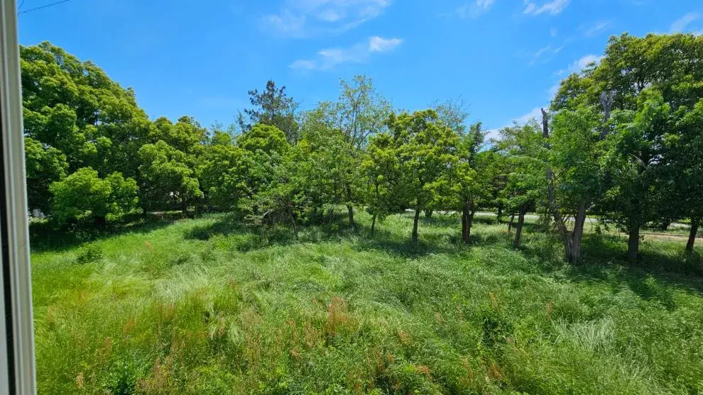 4LDK Property Wakayama City Wakayama Prefecture (25)