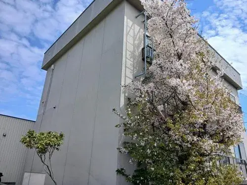 6LDK Property Sapporo City Hokkaido (5)
