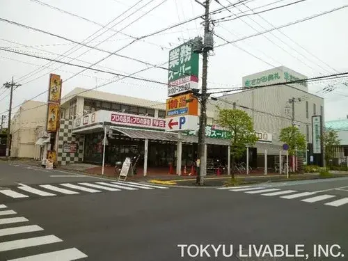 5LDK+S房产 埼玉市 埼玉县 (13)