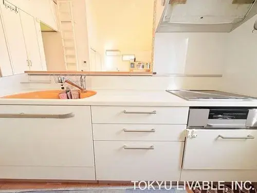 4LDK Property Saitama City Saitama Prefecture (14)