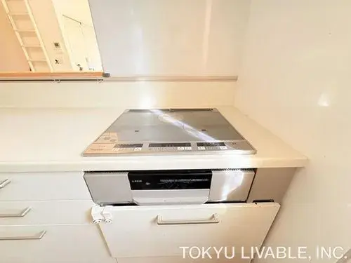 4LDK Property Saitama City Saitama Prefecture (15)