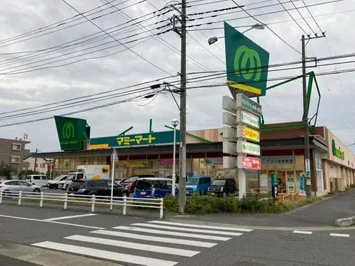 4LDK+S 白岡市 埼玉県 (37)