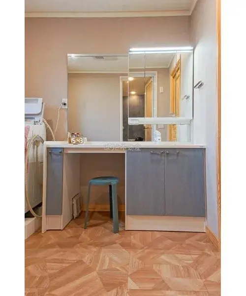 1LDK+S Property Matsudo City Chiba Prefecture (11)