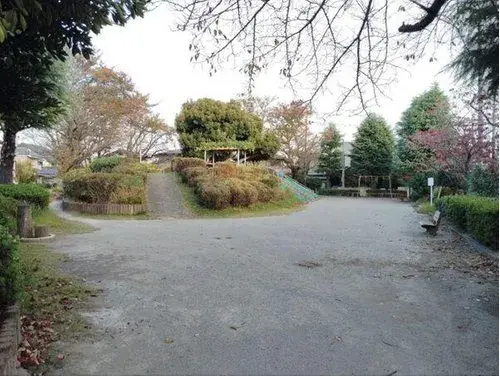 Slide 24