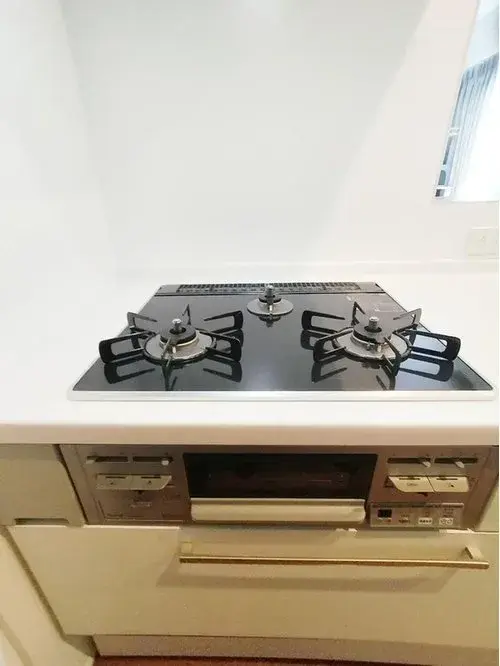 3LDK Property Matsudo City Chiba Prefecture (10)