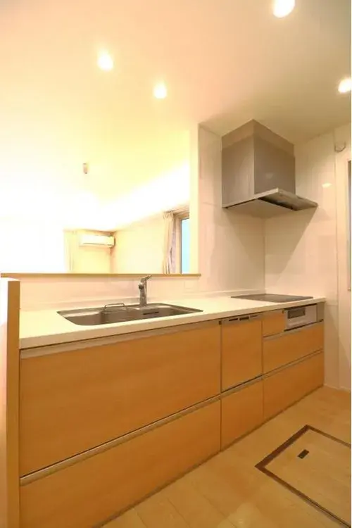 2LDK+S Matsudo City Prefectura de Chiba (15)