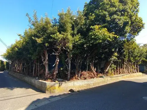 4DK+S房产 一宫町 千叶县 (8)
