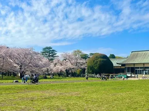 3LDK Koganei City Tokyo Property (30)