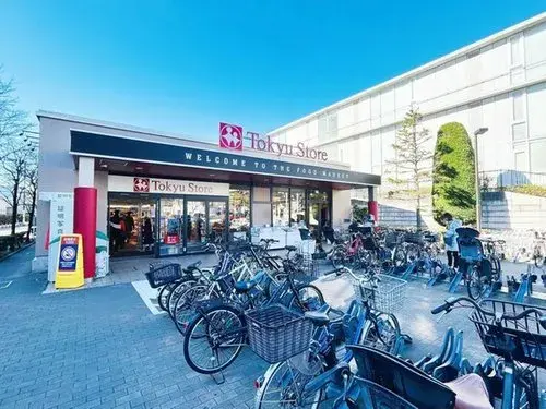 Tokyo Ota Ward 1LDK+S Property (19)