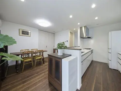 3LDK+S Property Nerima-ku Tokyo (14)