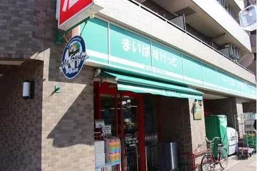 5LDK Property Edogawa-ku Tokyo (16)