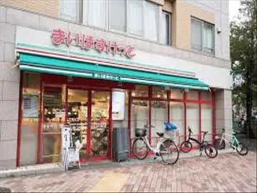 3LDK+S Property Nakano Ward Tokyo (13)