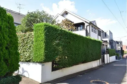 5LDK+S Property Meguro Ward Tokyo (2)