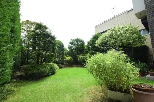5LDK+S Property Meguro Ward Tokyo (7)