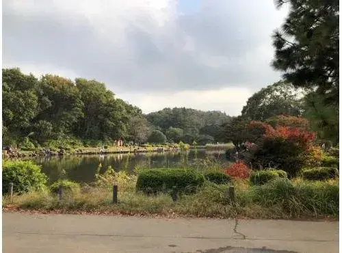 4LDK Yokohama City Kanagawa Prefecture (27)