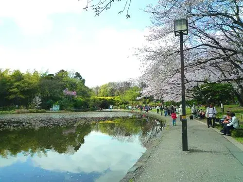3DK+S物件 横浜市 神奈川県 (18)