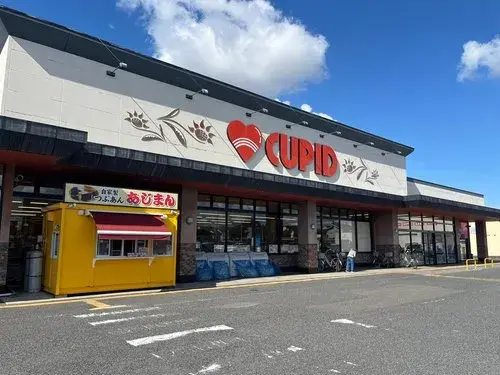 4LDK 新潟市江南区 新潟県 (18)