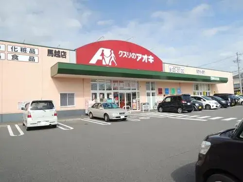 4DK Property Niigata City Niigata Prefecture (16)