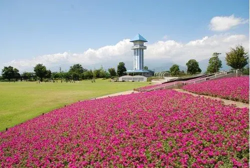6DK Property Koshu City Yamanashi Prefecture (20)