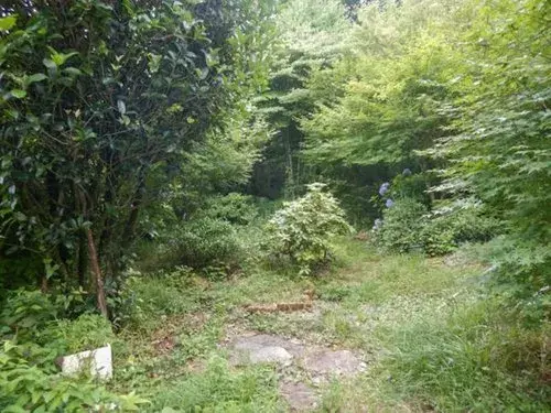 3LDK物件 伊豆市 静岡県 (15)