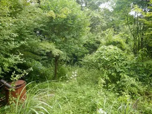 3LDK物件 伊豆市 静岡県 (16)