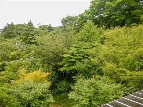 3LDK物件 伊豆市 静岡県 (18)