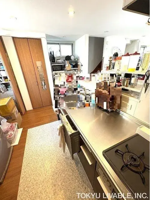 3LDK+S Property Nagoya City Aichi Prefecture (12)