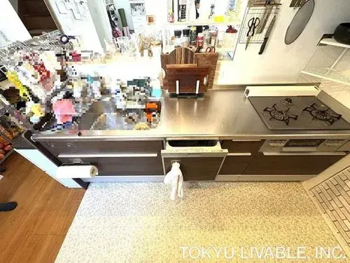 3LDK+S Property Nagoya City Aichi Prefecture (16)