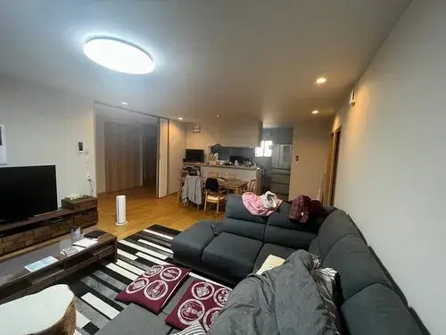 爱知县清须市3室1厅1厨物业 (3)