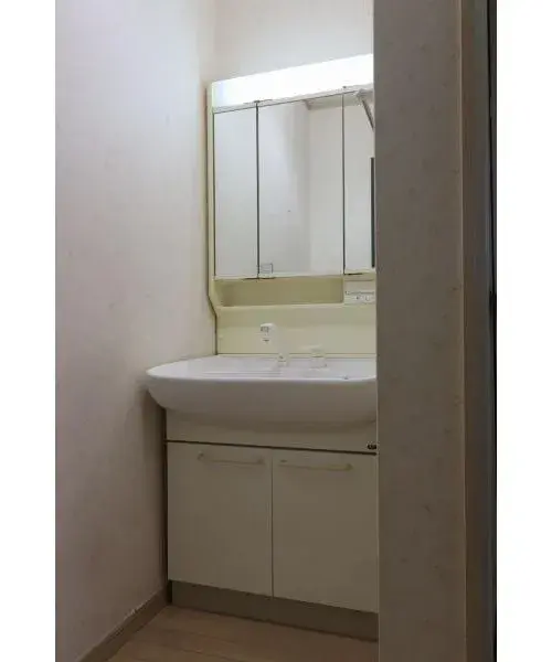 [3LDK+S Property] Osaka City Osaka Prefecture (17)